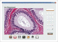 Caliper Pro (Micro Measurements Software) Caliper Pro (Micro Measurements Software)